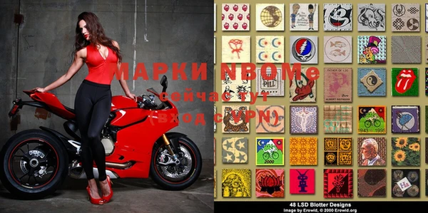 индика Покачи