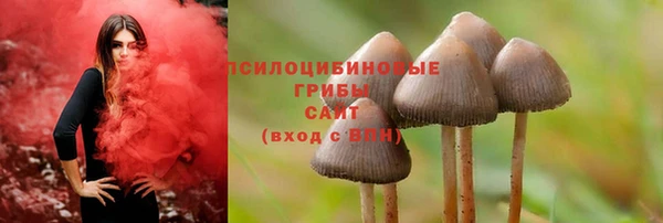 соль курить ск Протвино