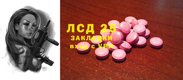 индика Покачи