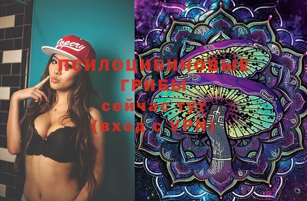 индика Покачи