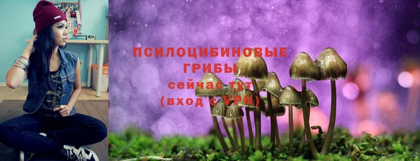 соль курить ск Протвино