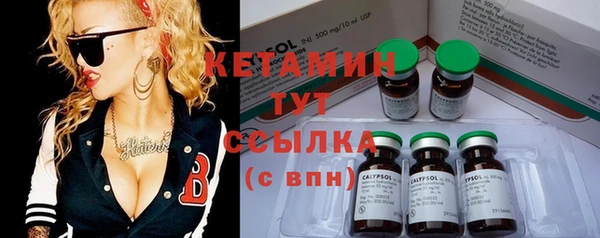 индика Покачи