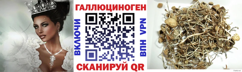 Псилоцибиновые грибы ЛСД Болхов